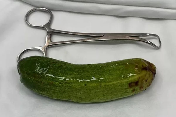 Hà Nội: Cây phượng vĩ gãy ngang thân đè trúng 2 xe ô tô đang lưu thông trên phố-2