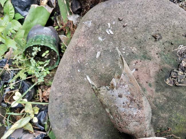 Nội dung buồn ở bức thư giấu trong chai được tìm thấy sau 18 năm chôn dưới đất!-1