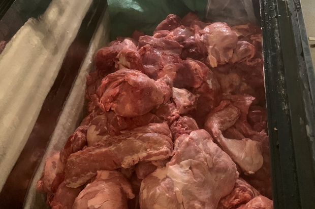 Chủ quán bánh mỳ thịt nướng nhập thịt lợn nhiễm dịch tả châu Phi-1