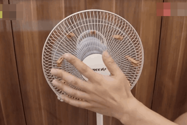 Chỉ vài sợi dây chun có thể xua đuổi kiến, hiệu quả hơn cả thuốc xịt-6