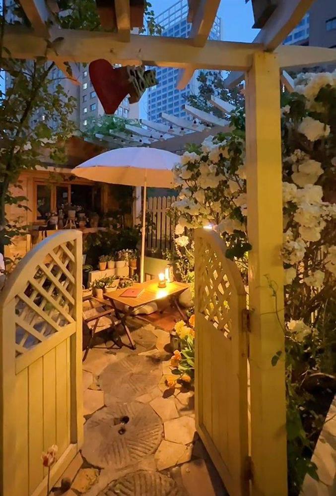 Ngẩn ngơ trước khu vườn nhà 60m² đẹp như tranh vẽ, thác hoa phủ vàng ruộm cả một góc sân-22