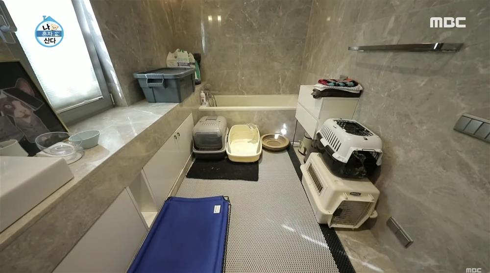 Song Hye Kyo giấu kín nội thất bất động sản nhưng dàn tình cũ chẳng ngại để lộ: Người ở nhà cẩm thạch, người lại sống xanh với thiên nhiên-34