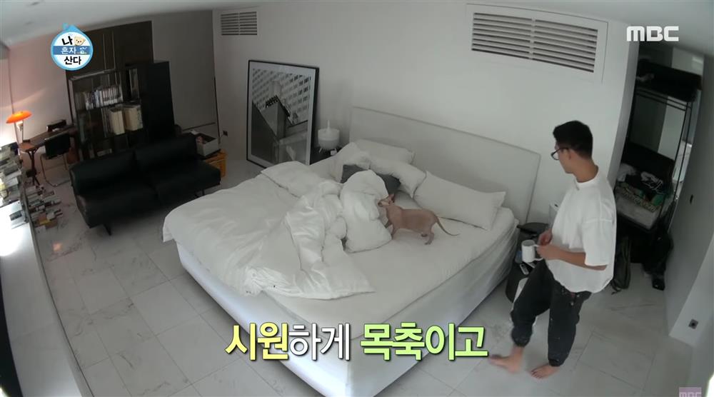 Song Hye Kyo giấu kín nội thất bất động sản nhưng dàn tình cũ chẳng ngại để lộ: Người ở nhà cẩm thạch, người lại sống xanh với thiên nhiên-33