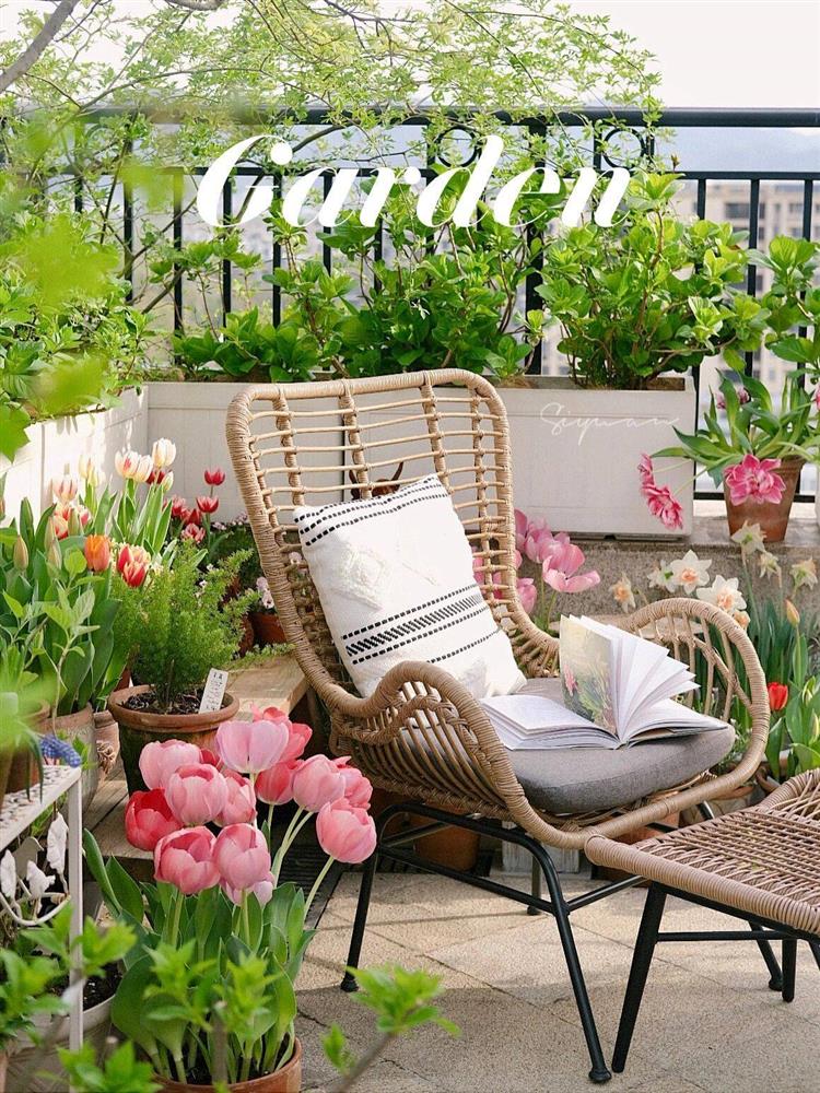 Ngây ngất với khu vườn sân thượng có đến 50 loại hoa hồng, rau xanh, trái cây-1