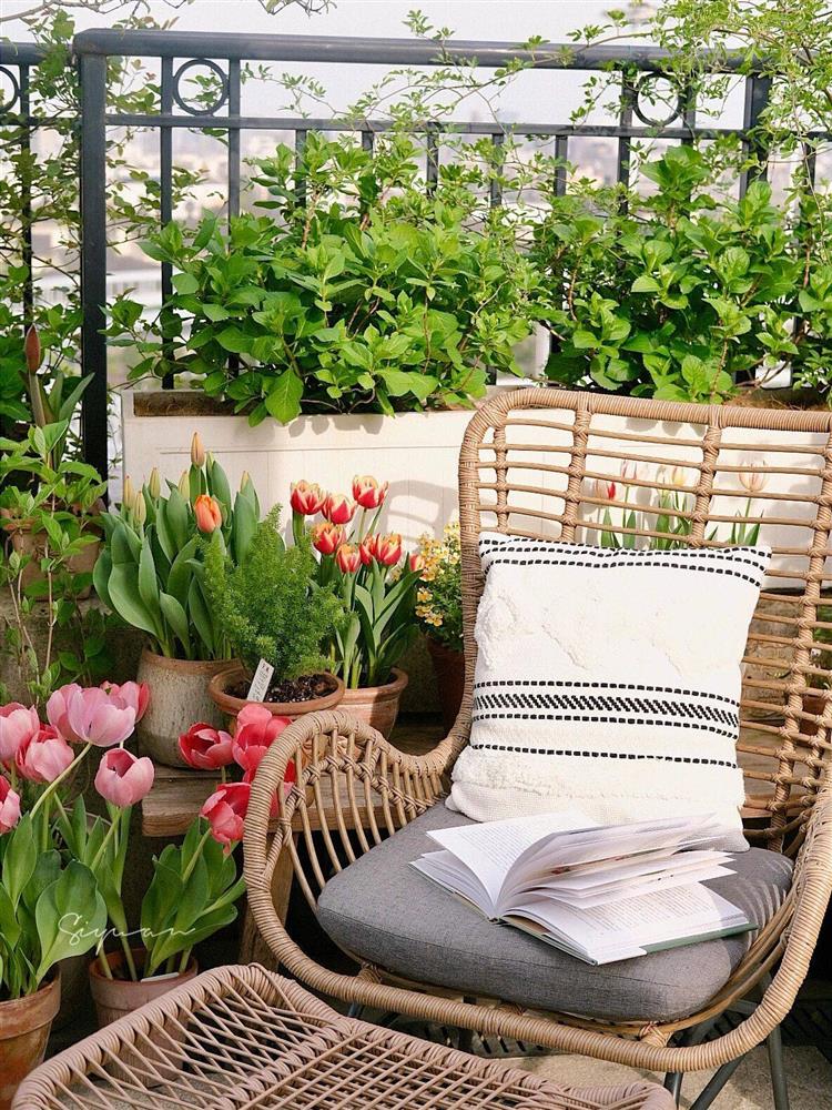 Ngây ngất với khu vườn sân thượng có đến 50 loại hoa hồng, rau xanh, trái cây-2