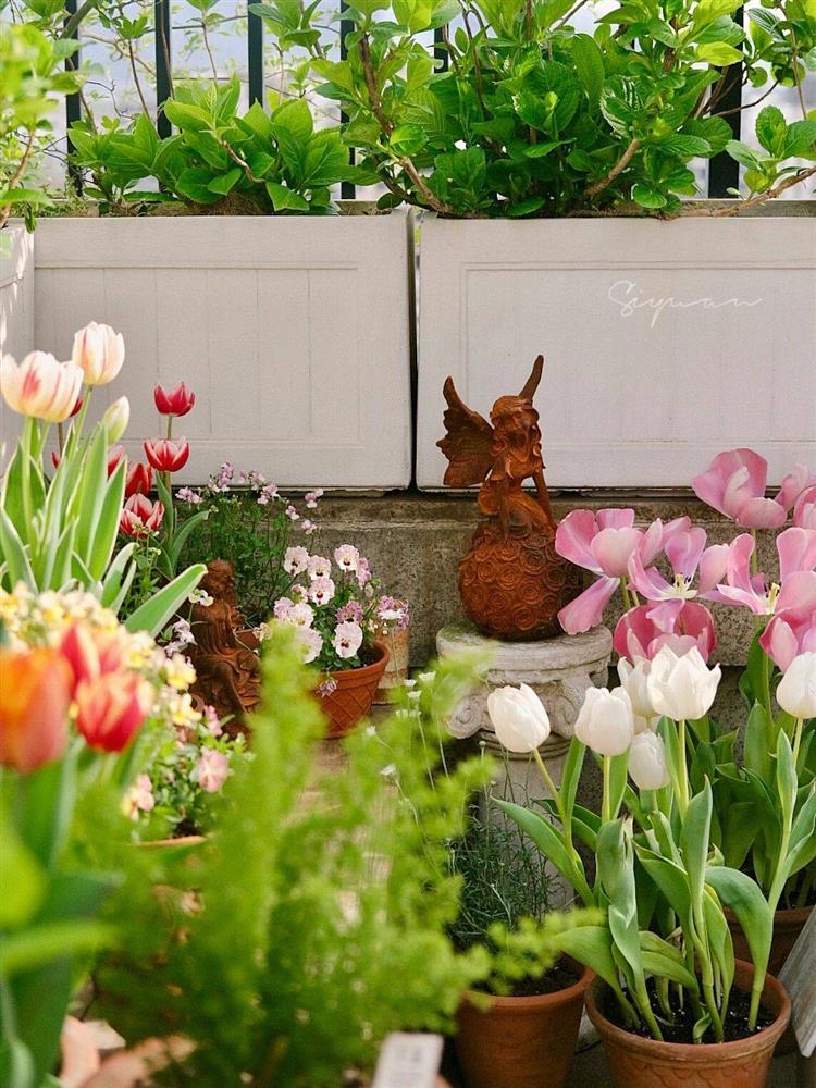 Ngây ngất với khu vườn sân thượng có đến 50 loại hoa hồng, rau xanh, trái cây-3