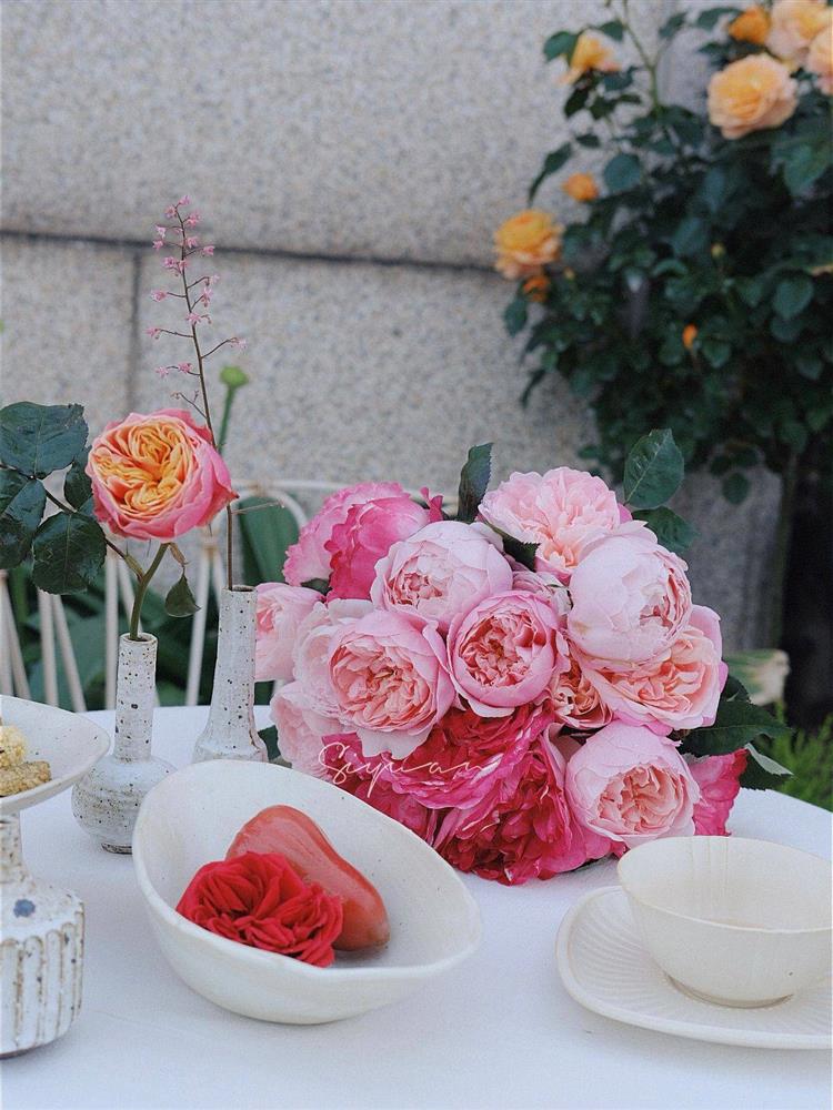 Ngây ngất với khu vườn sân thượng có đến 50 loại hoa hồng, rau xanh, trái cây-15