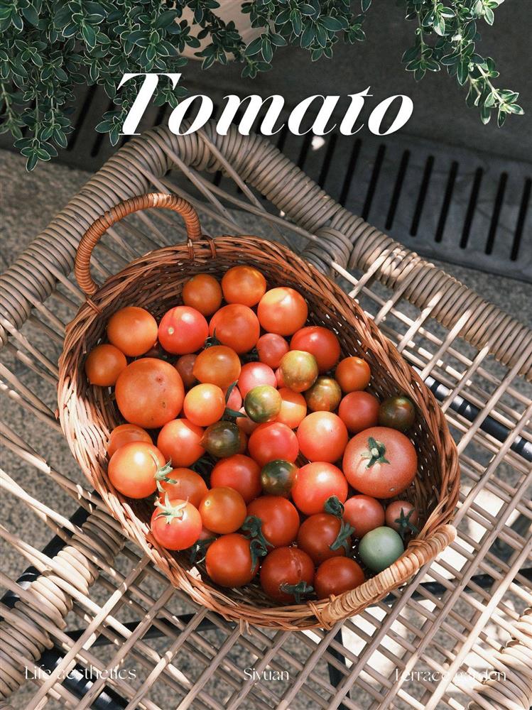 Ngây ngất với khu vườn sân thượng có đến 50 loại hoa hồng, rau xanh, trái cây-23