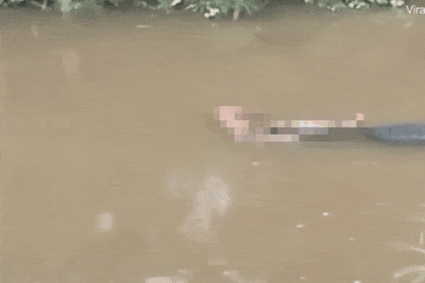 Người đàn ông bị cá sấu tấn công, lôi xềnh xệch trên sông