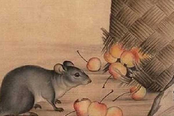 Quý Mão 2023: Định mệnh an bài 2 con giáp gặp Tam Tai xui xẻo, làm gì cũng khó, 1 tuổi đón lộc-2