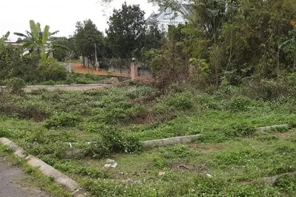 Nóng ruột gom tiền lao vào cơn sốt, bạc mặt chôn vốn ôm hận 10 năm-1