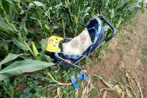 Phát hiện thi thể người đàn ông treo cổ tại khu rừng trong Đại học quốc gia TP.HCM-2