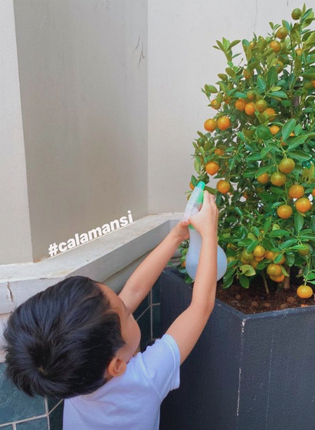 Con sinh ra đã ngậm thìa vàng nhưng Hà Tăng dạy con theo kiểu kỳ lạ, đọc kỹ mới thấy đó cũng là cách dạy của nhiều tỷ phú thế giới-4