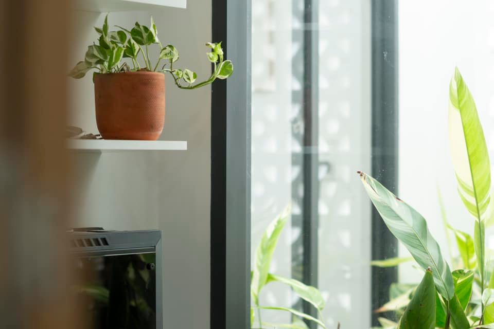 Ngôi nhà theo phong cách Boho hiện đại và trẻ trung, góc nào cũng sẵn sàng để... chill-15