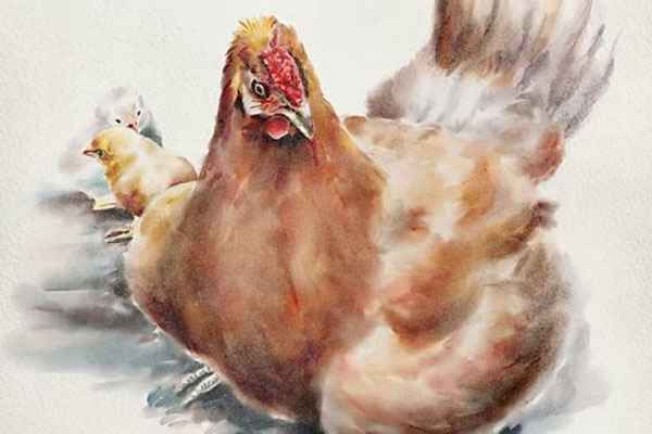 3 con giáp khổ trước sướng sau, sau 40 tuổi sẽ trở thành đại gia, tiền bạc dư dả, càng già càng giàu-1