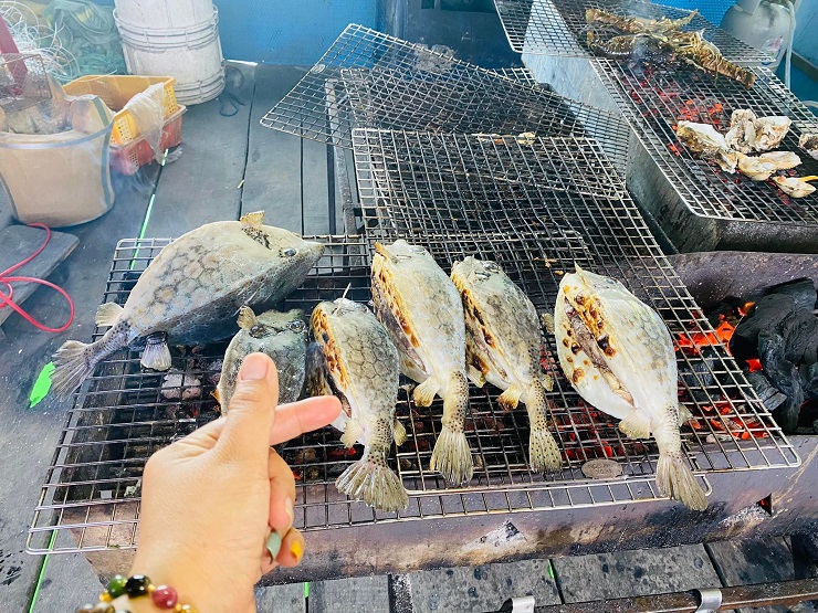 Gà nước mặn” trở thành đặc sản ở Phú Yên, giá lên tới 2,5 triệu đồng/kg-2