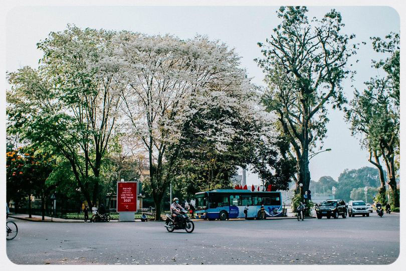 Miền Bắc bước vào đợt mưa diện rộng kéo dài đến cuối tuần sau, vắt ngang trận Việt Nam - Thái Lan trên sân Mỹ Đình ngày 22/5-1