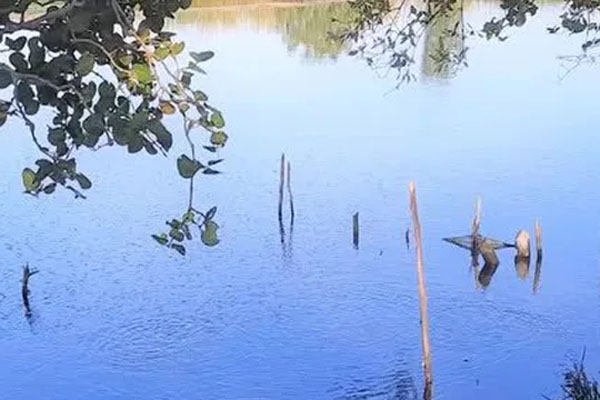 Mẹ dìm chết 2 con nhỏ gây rúng động Nam Định-1