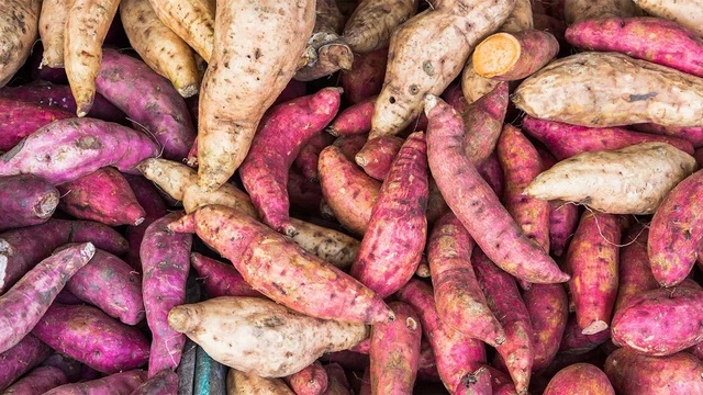 Nhân sâm siêu rẻ ở Việt Nam du nhập Trung Quốc, cứu đói hàng trăm triệu người-2