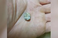 Phát hiện chiếc răng em bé 130.000 tuổi trên núi, các nhà khảo cổ ngỡ ngàng về quá khứ loài người cổ xưa ở Đông Nam Á