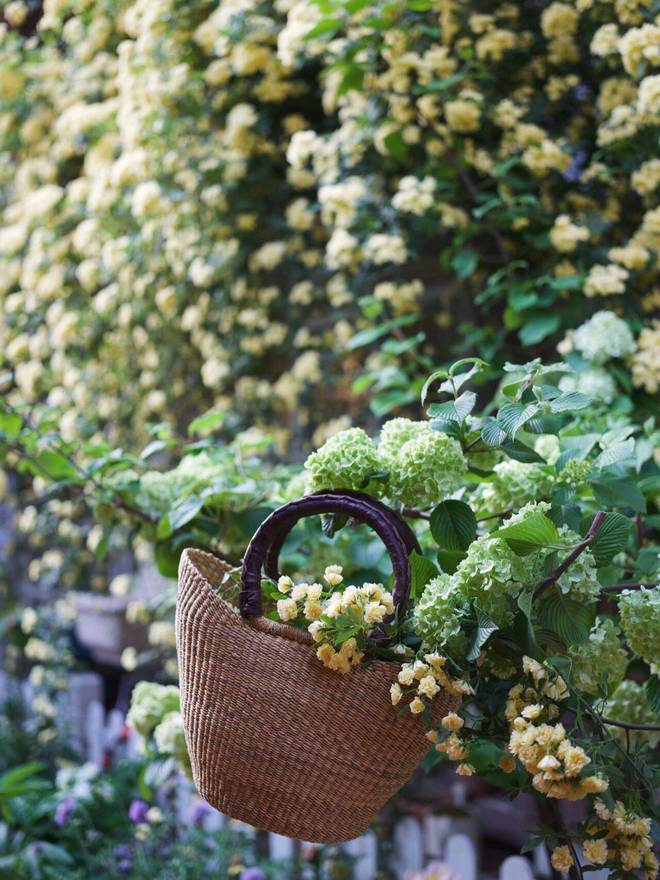 Ngẩn ngơ trước khu vườn nhà 60m² đẹp như tranh vẽ, thác hoa phủ vàng ruộm cả một góc sân-11