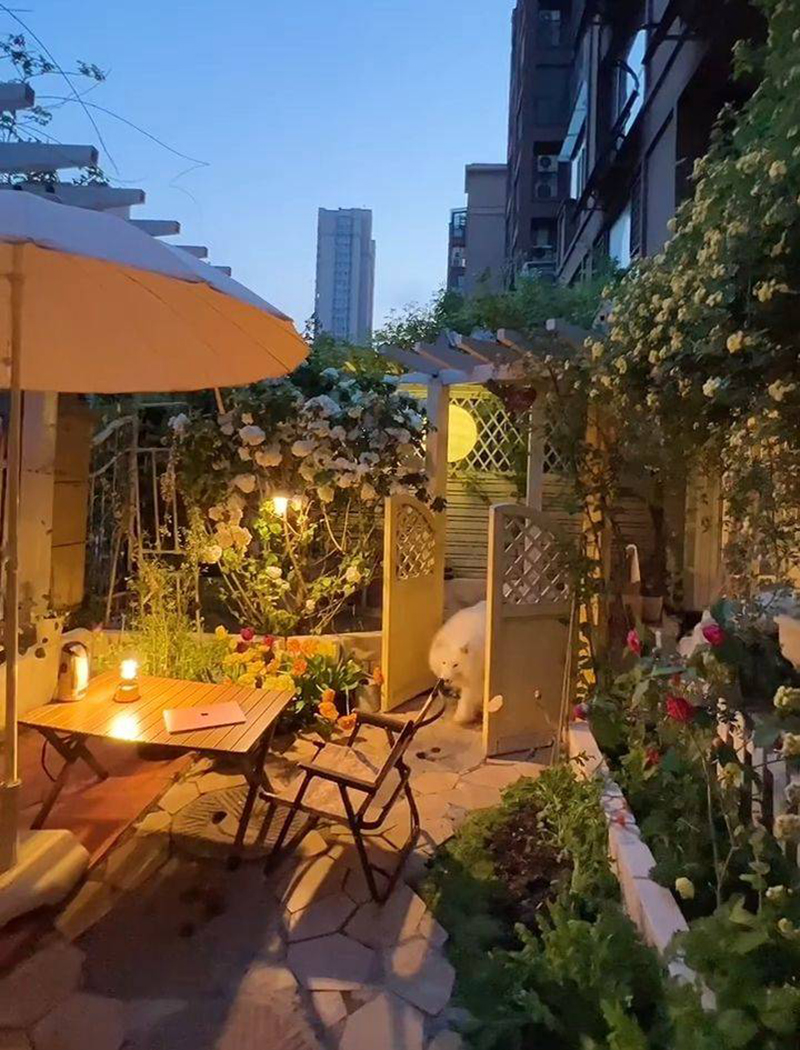 Ngẩn ngơ trước khu vườn nhà 60m² đẹp như tranh vẽ, thác hoa phủ vàng ruộm cả một góc sân-20