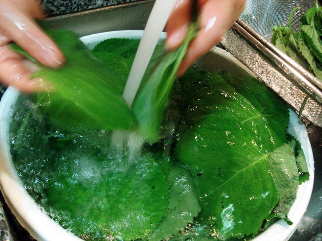 Mỗi ngày uống 1 cốc nước tía tô, sau 1 tuần, chị em nhận liền 7 thay đổi tuyệt vời-4
