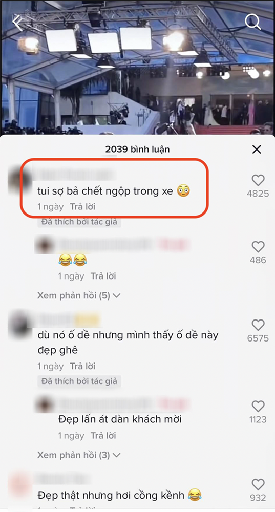 Đặc sản của Cannes: Những bộ váy áo cồng kềnh khiến khổ chủ” di chuyển vất vả-20