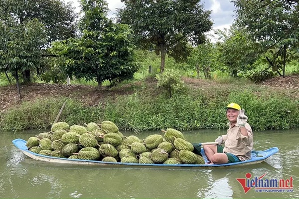 Trung Quốc ‘ăn hàng’: Đang phải đổ bỏ bất ngờ đắt hàng, nông dân lãi đậm-1