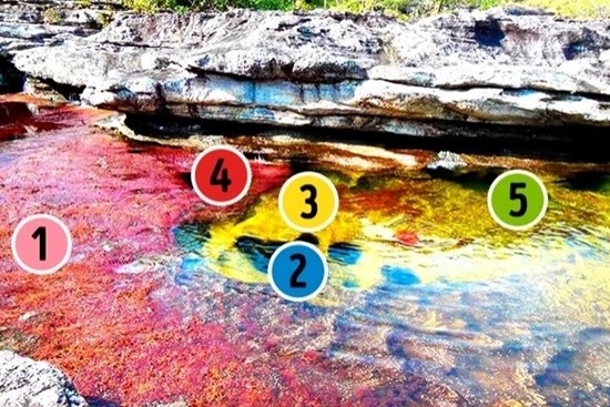 6 bí ẩn hiện hữu ngay trên Trái đất nhưng quá kỳ quặc khiến các nhà khoa học bối rối, số 2 phi thường đến mức khó tin