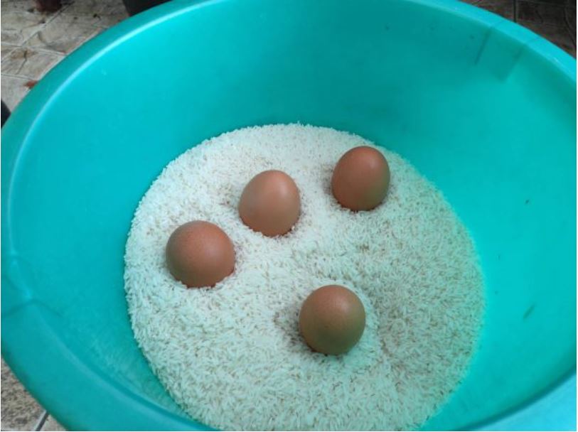 Cho trứng vào gạo có công dụng trên cả tuyệt vời nhưng đa số mọi người không biết-2