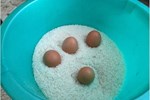Cho trứng vào gạo có công dụng trên cả tuyệt vời nhưng đa số mọi người không biết