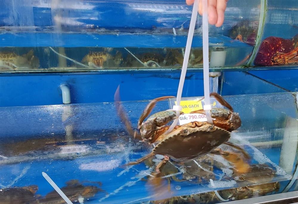 Cua biển nhập ngoại rẻ hơn cua trong nước-3