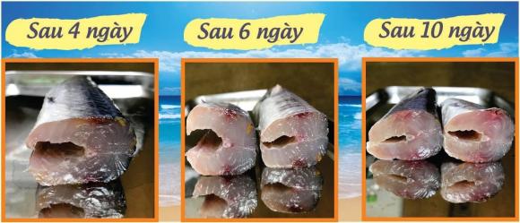 Mẹo bảo quản cá được tươi lâu và ngon hơn, bà nội trợ nào cũng nên biết-1