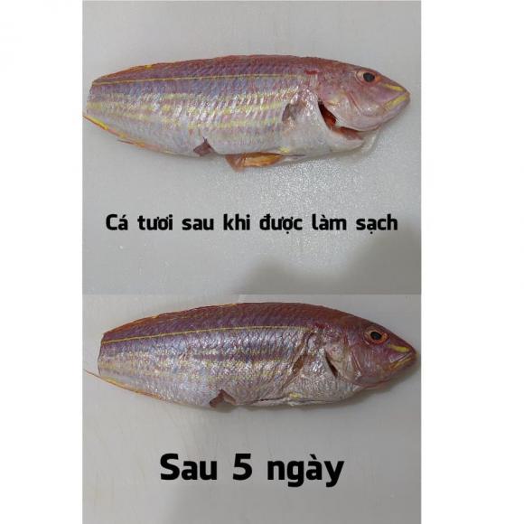 Mẹo bảo quản cá được tươi lâu và ngon hơn, bà nội trợ nào cũng nên biết-4