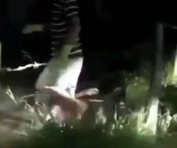 Phát hiện thi thể người đàn ông trong cống nước-1