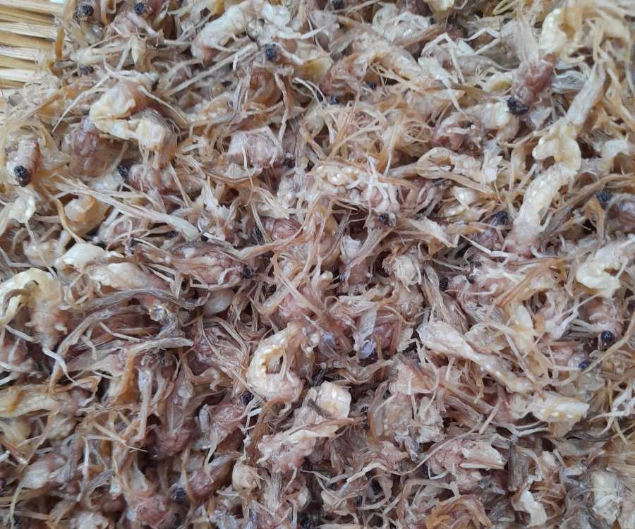 Thứ đặc sản hiếm có, ít người biết ở Hà Nội, rang lá chanh, xào rau bí, thả lẩu ngon hết nấc, người bán hết vèo cả đôi tạ-1