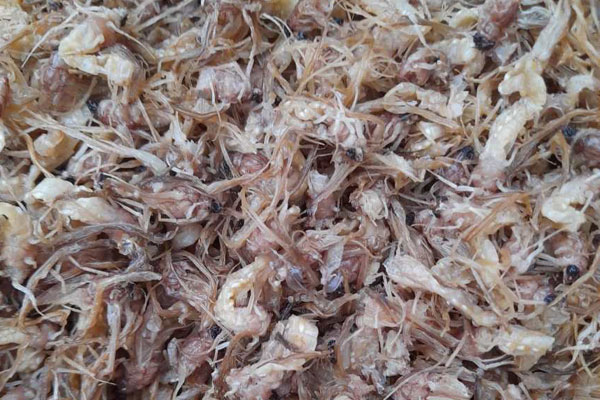 Bốn loại rau đắt hơn thịt có tiền chưa chắc mua được-14