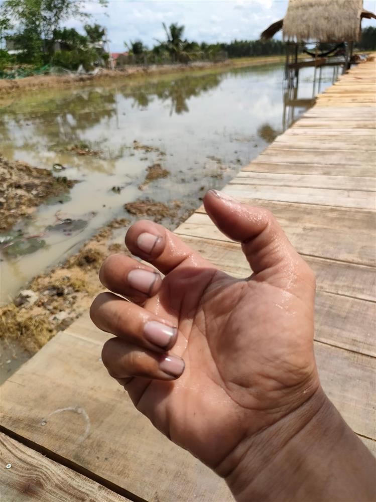 Cặp vợ chồng bỏ phố về quê Long An, tự làm nhà khi trong tay chỉ có 40 triệu-5