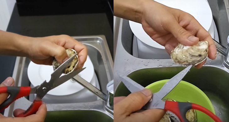 Bí quyết chọn hàu tươi ngon, nhiều thịt chỉ cần nhìn vỏ-5