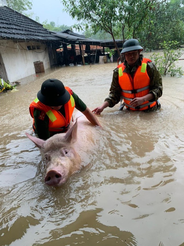 Nhiều khu vực ở Vĩnh Phúc ngập sâu, công an dầm mình cứu tài sản cho dân-9