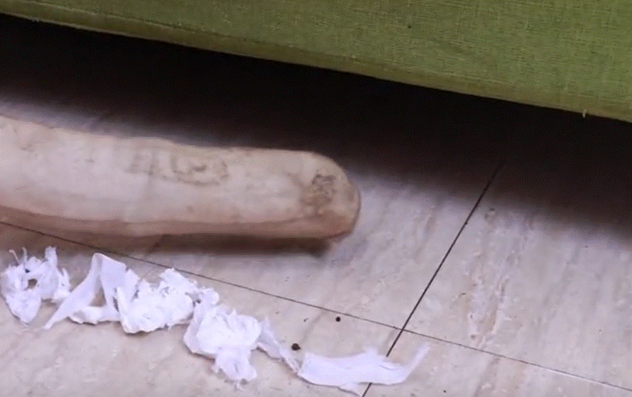 Đeo tất vào nắp cống thoát sàn phòng tắm có tác dụng thật hữu ích nhưng nhiều người không biết-8