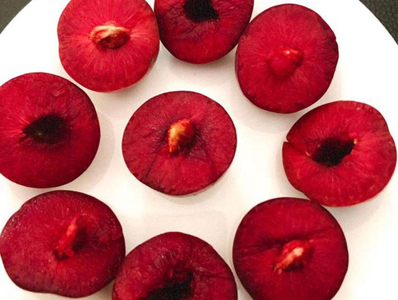 Trồng duy nhất trên 1 quả núi ở Sơn La, loại mận ‘cherry Việt Nam siêu đắt khách-2