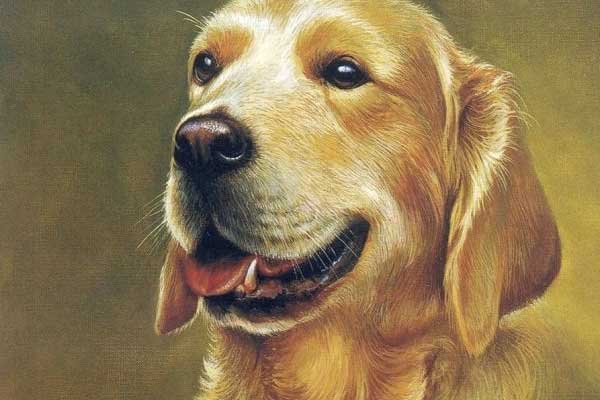 Thần Tài xông nhà: 4 con giáp phất cả tình lẫn tiền, không xây nhà lầu cũng tậu xe hơi 100 ngày tới-2