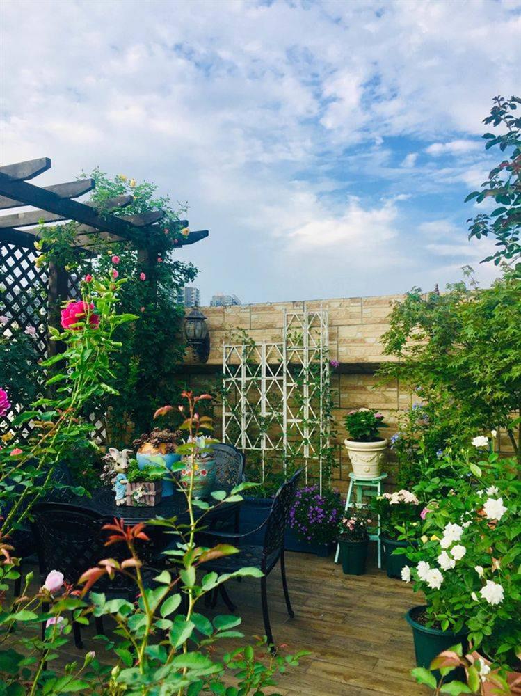 Khu vườn sân thượng độc đáo với tầng trên là hoa hồng rực rỡ, tầng dưới muôn hoa đua nở 4 mùa-7