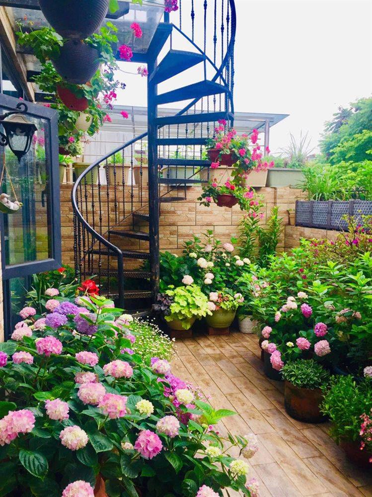 Khu vườn sân thượng độc đáo với tầng trên là hoa hồng rực rỡ, tầng dưới muôn hoa đua nở 4 mùa-16