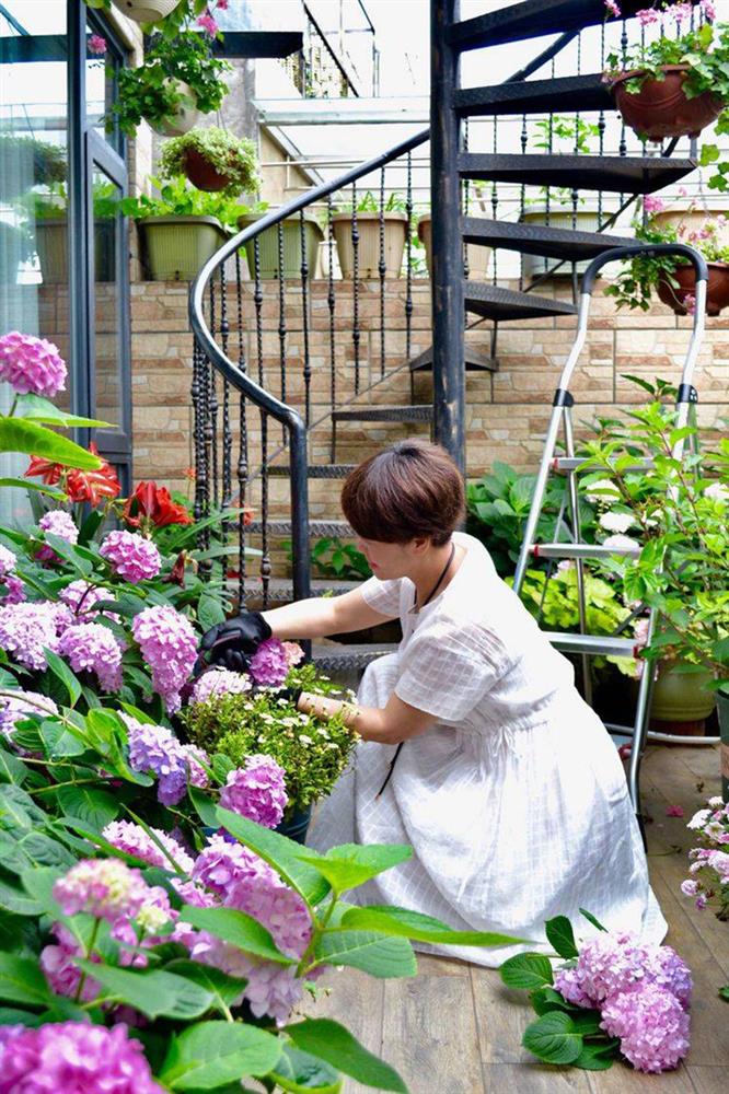 Khu vườn sân thượng độc đáo với tầng trên là hoa hồng rực rỡ, tầng dưới muôn hoa đua nở 4 mùa-17
