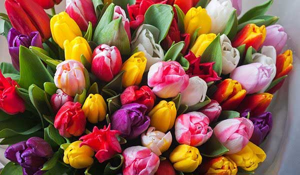 3 con giáp có tài lộc vượng phát từ giờ đến cuối năm, phú quý như nước chảy-2