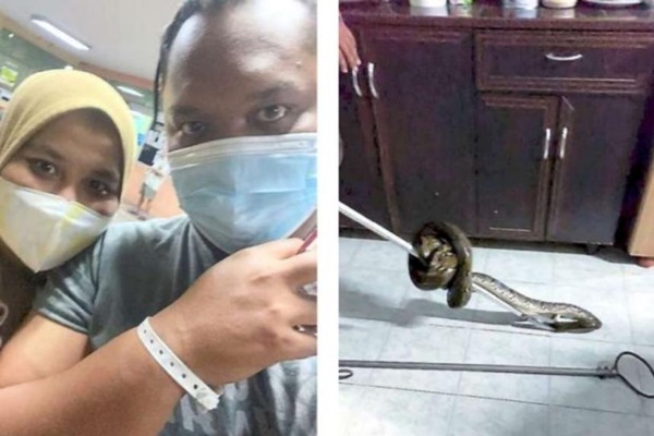 Giơ điện thoại định selfie, thanh niên hoảng hồn bị trăn khủng đớp vào ngực-2