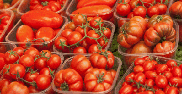 Làm thế nào để biết một quả cà chua có chất kích thích? Ghi nhớ 4 điểm, nhìn thoáng qua là biết cà chua hormone”, đừng bao giờ mua!-1